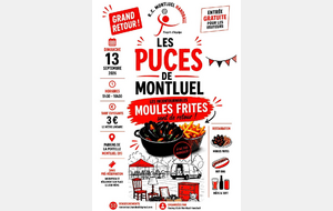 Puces du RMC