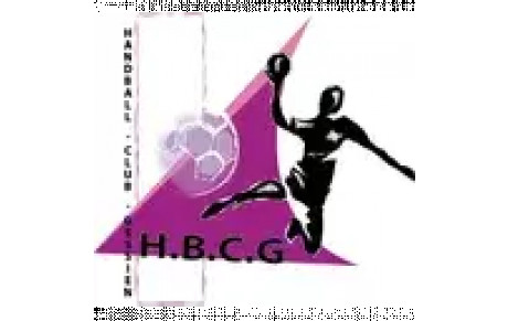 HBC GESSIEN-FERNEY VOLTAIRE